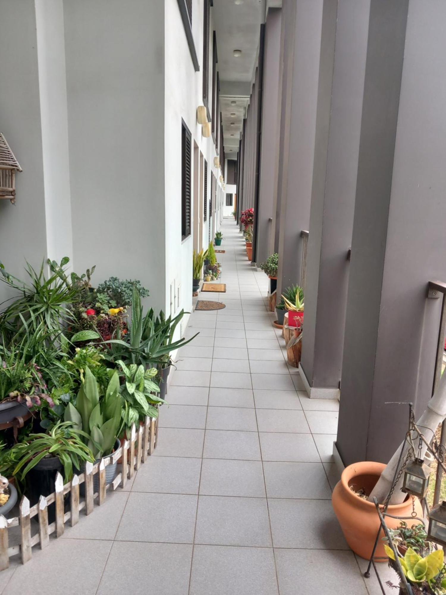 فونشال Efd Varzea Park المظهر الخارجي الصورة